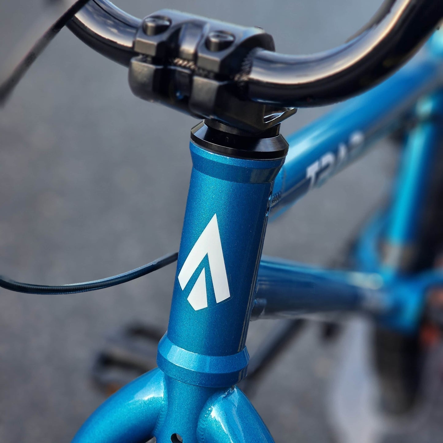 Tribal Bikes BMX Bikes Metallic Blue / 20.5 Tribal Bikes Trap Bike Metallic Blue