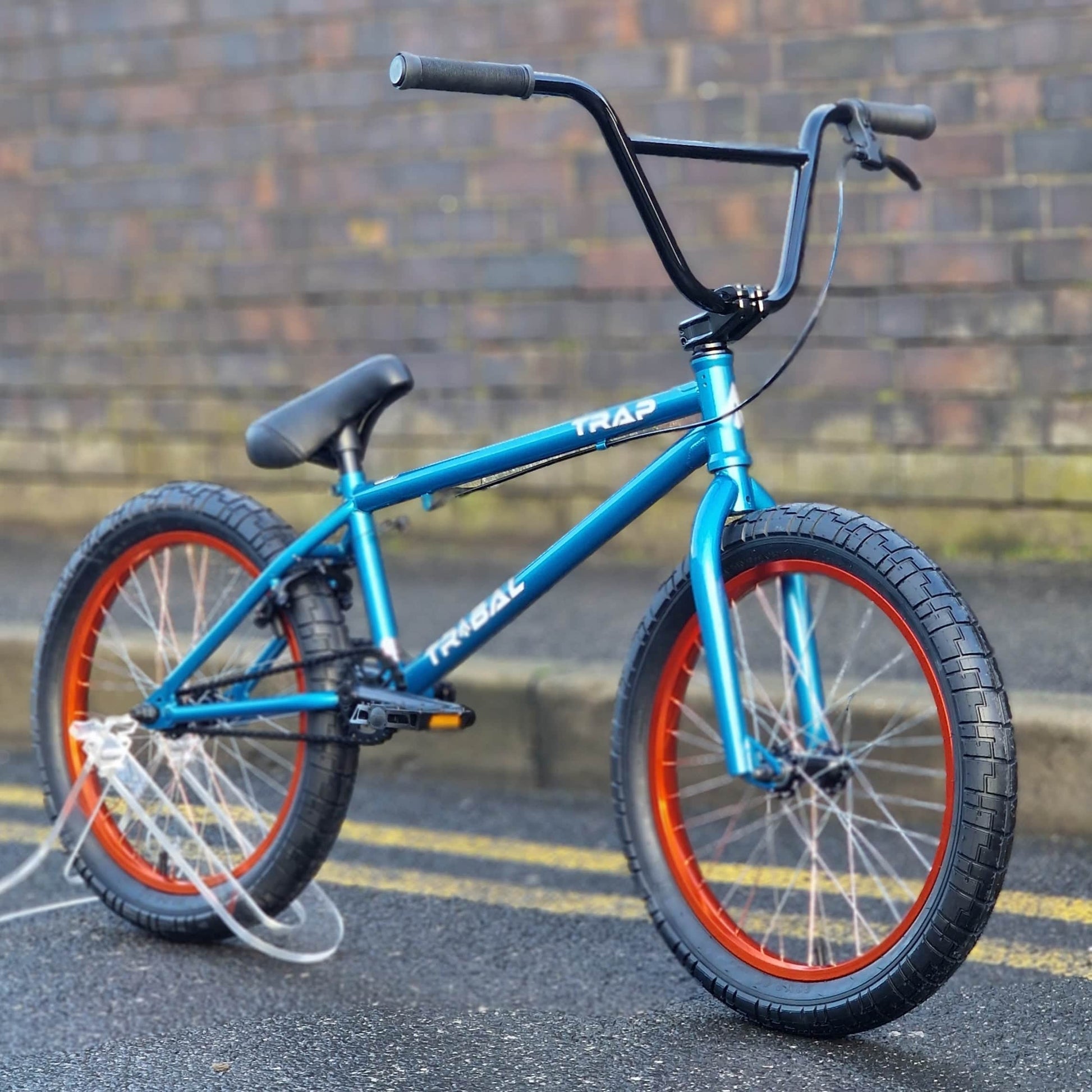Tribal Bikes BMX Bikes Metallic Blue / 20.5 Tribal Bikes Trap Bike Metallic Blue