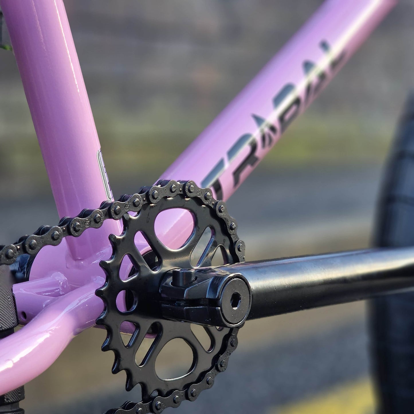 Tribal Bikes BMX Bikes Baby Pink / 20.5 Tribal Bikes Trap Bike Pink