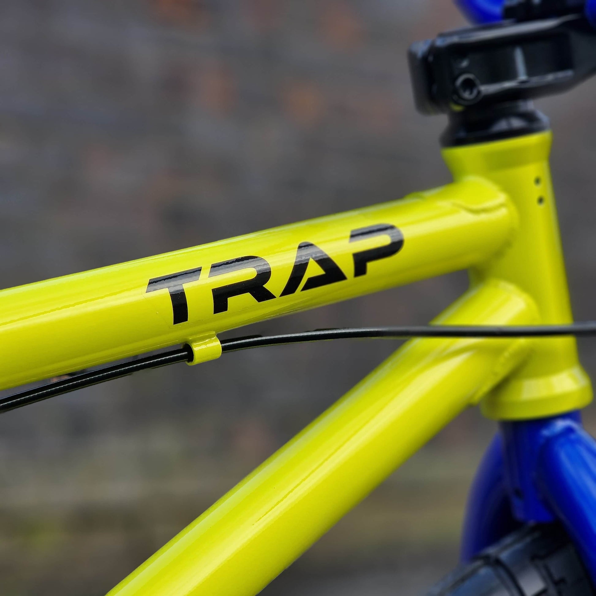 Tribal Bikes BMX Bikes Yellow / Blue / 20.5 Tribal Bikes Trap Bike Yellow / Blue