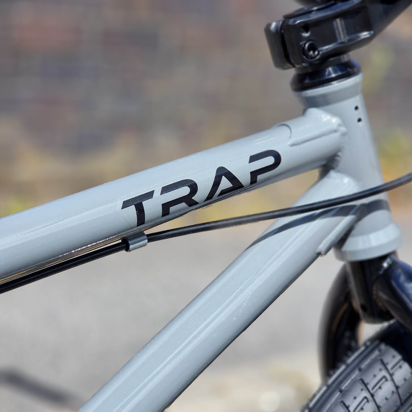 Tribal Bikes BMX Bikes Cool Gloss Grey / 20.5 Tribal Bikes Trap V2 20.5" TT Bike Cool Gloss Grey