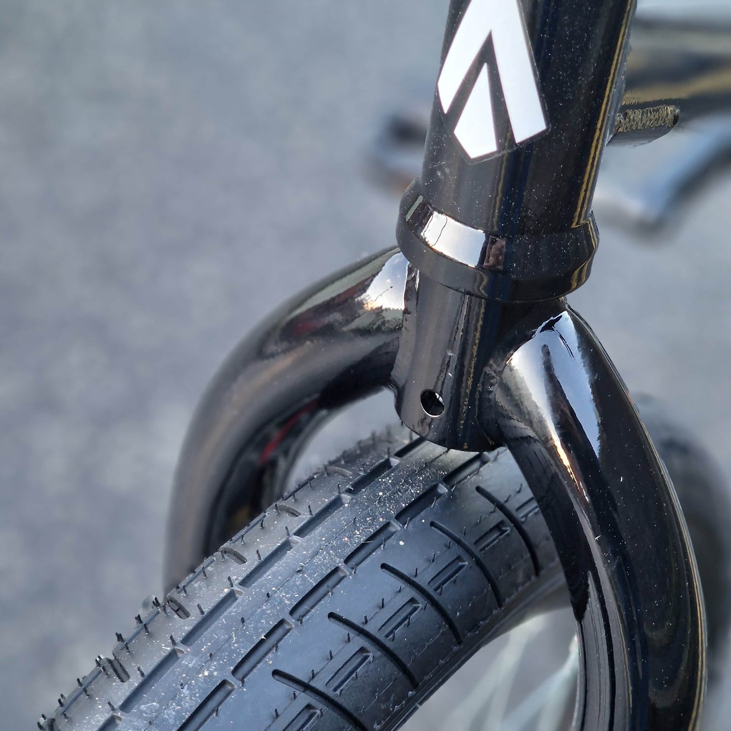 Tribal Bikes BMX Bikes Black / 20.5 Tribal Bikes Trap V2 Bike Black