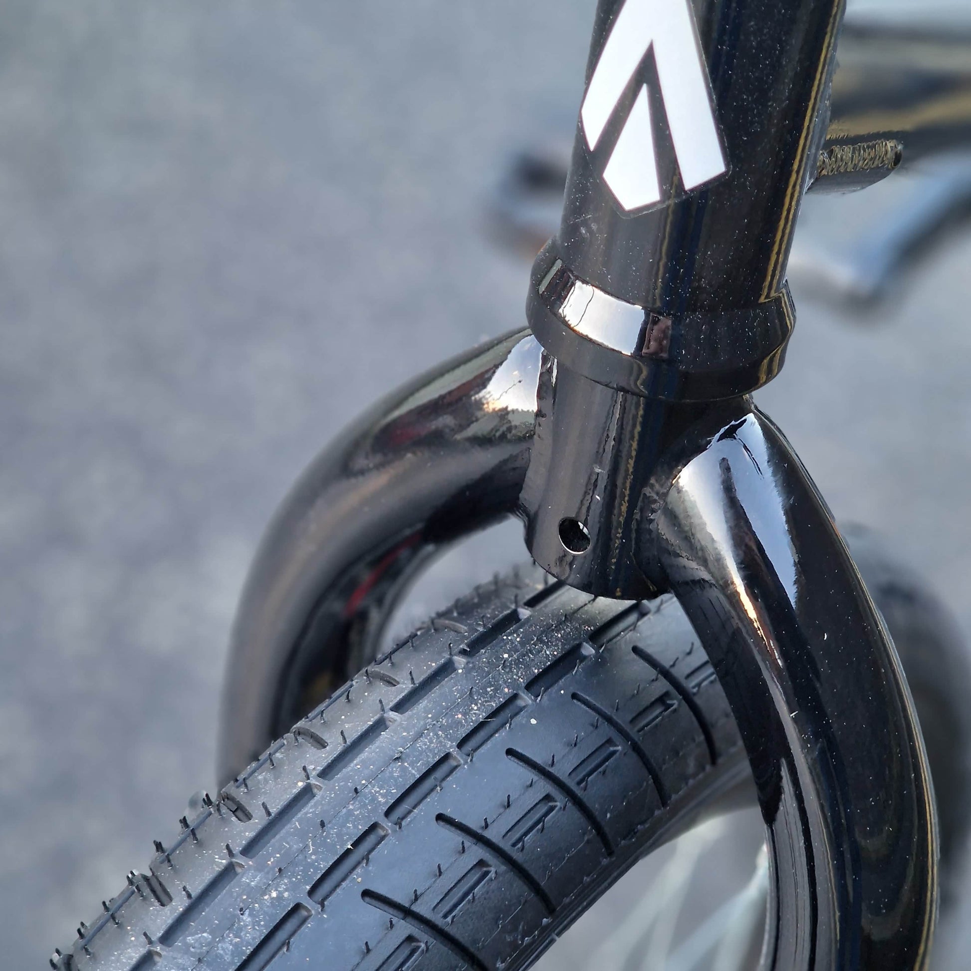 Tribal Bikes BMX Bikes Black / 20.5 Tribal Bikes Trap V2 Bike Black