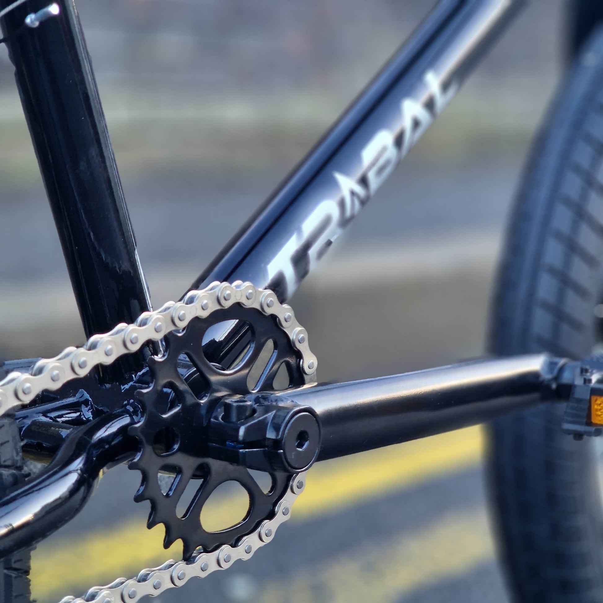 Tribal Bikes BMX Bikes Black / 20.5 Tribal Bikes Trap V2 Bike Black