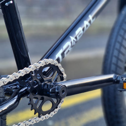 Tribal Bikes BMX Bikes Black / 20.5 Tribal Bikes Trap V2 Bike Black
