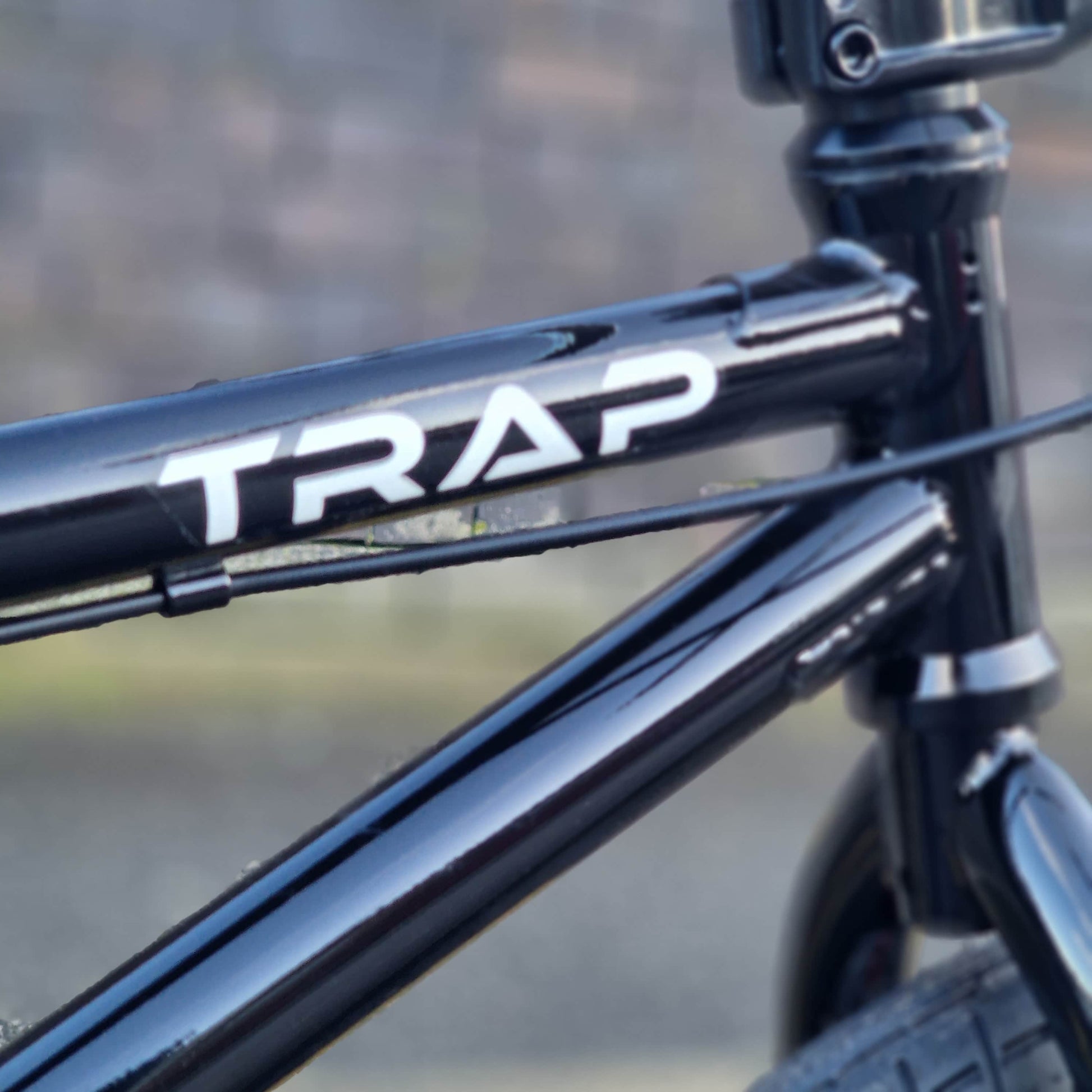 Tribal Bikes BMX Bikes Black / 20.5 Tribal Bikes Trap V2 Bike Black