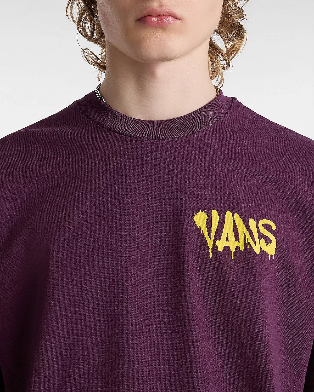 Vans Clothing & Shoes Vans Factory Spray Loose Fit T-Shirt Blackberry