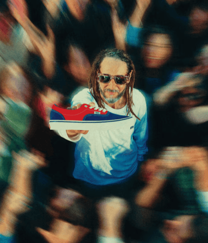 Vans Clothing & Shoes Vans Skate Era Shoes Blue / Red Robinson / Mongoose Colourway
