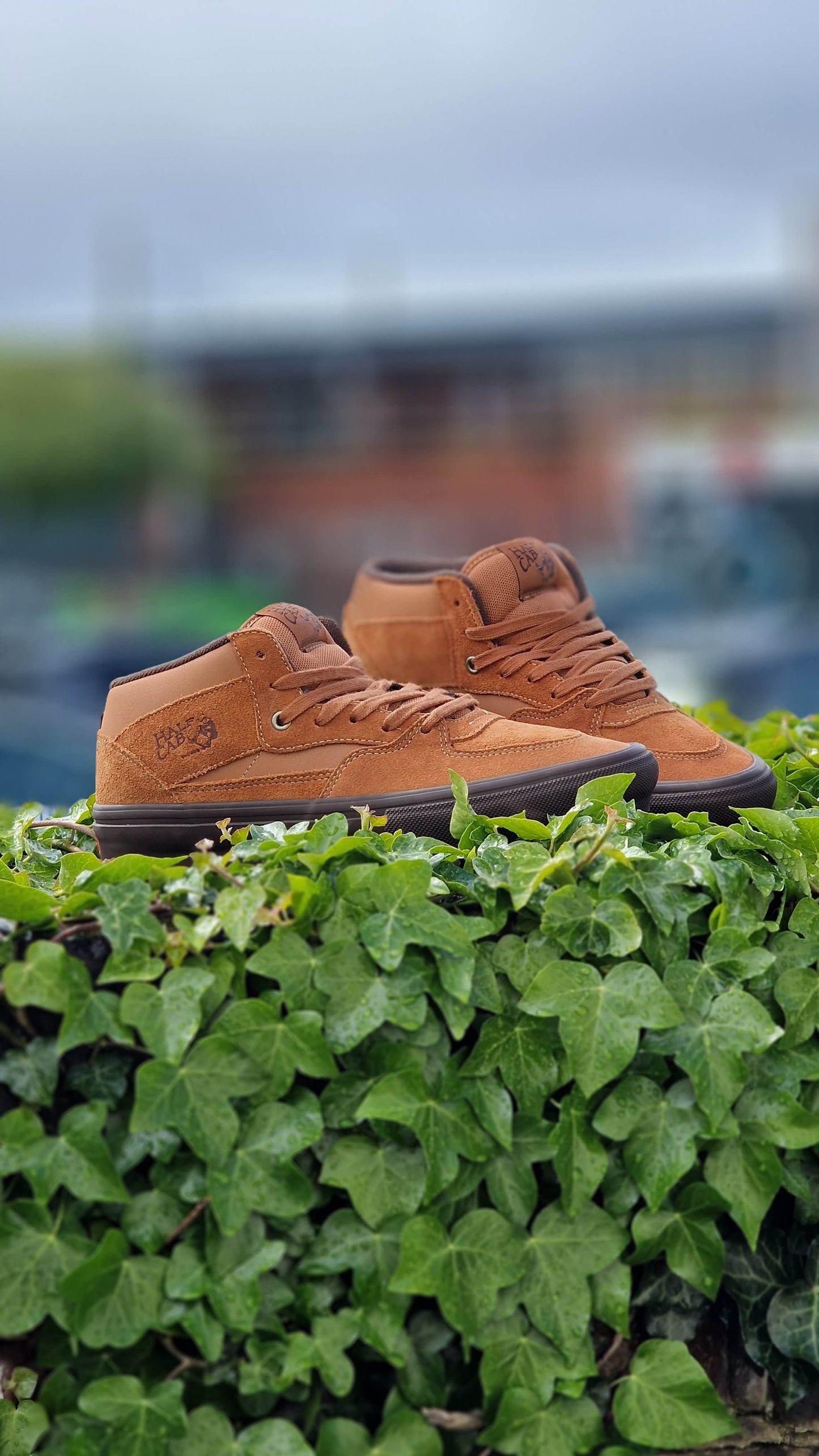 Vans Clothing & Shoes Vans Skate Half Cab Shoes Golden Brown / Gum