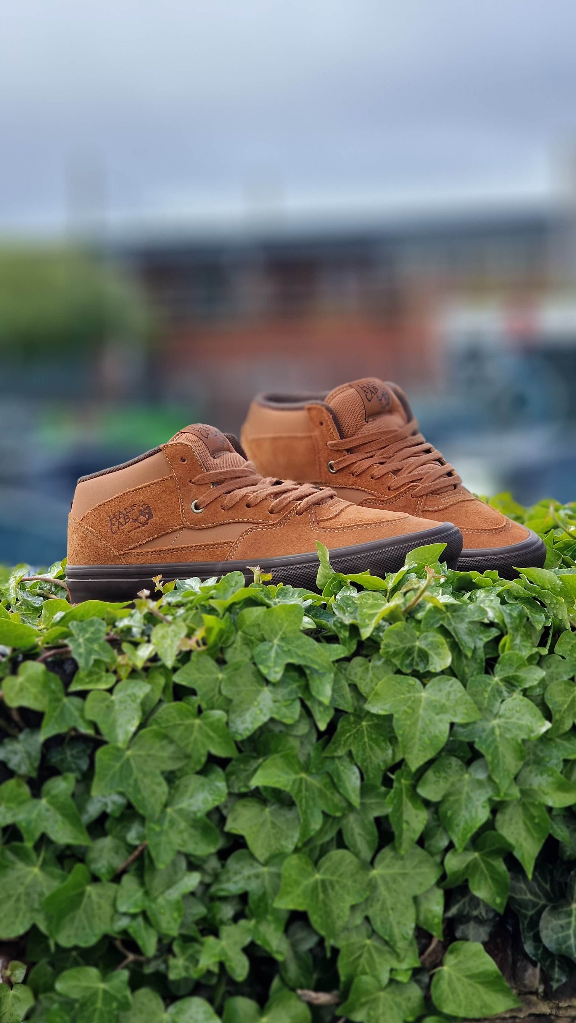 Vans Clothing & Shoes Vans Skate Half Cab Shoes Golden Brown / Gum