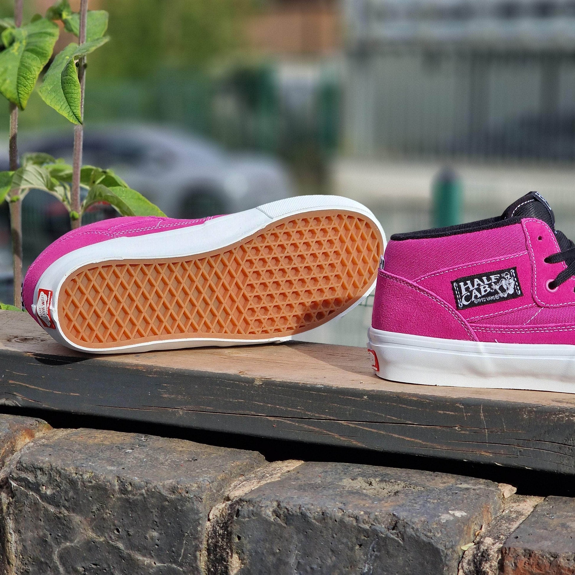 Pink And Vans Sneakers Colors Vans Skate Half Cab Shoes Hot Pink