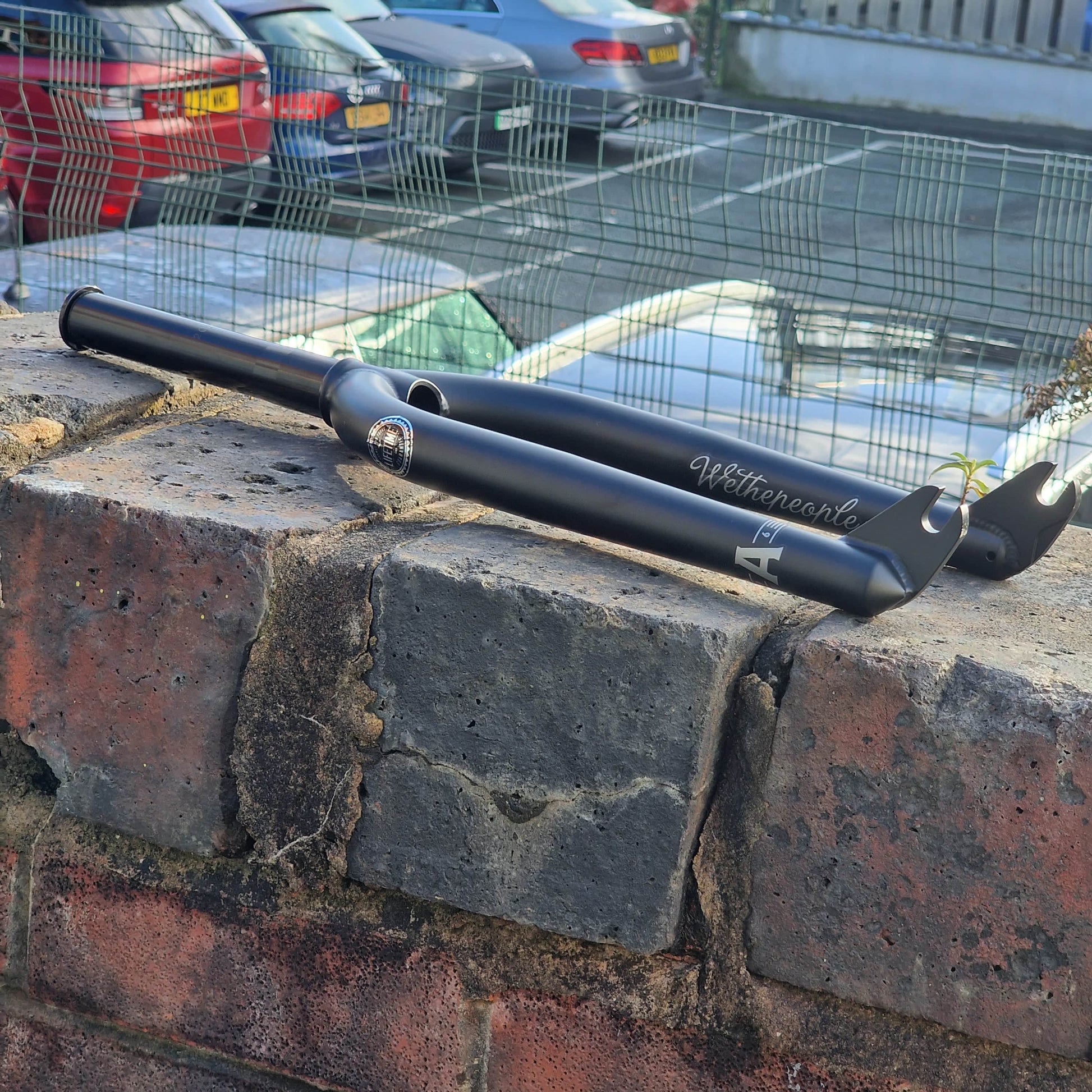 We The People BMX Parts Black / 30mm We The People Audio 22 Fork