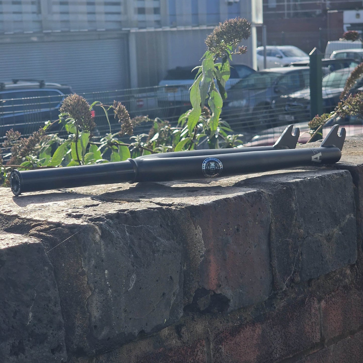 We The People BMX Parts Black / 30mm We The People Audio 22 Fork