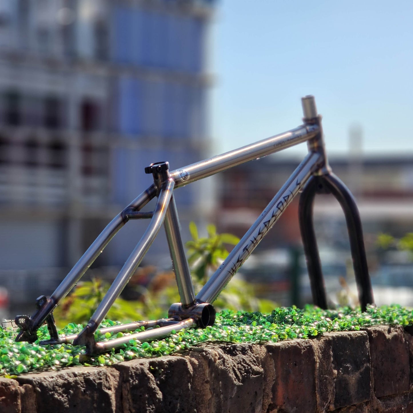 We The People BMX Parts We The People Chaos Machine 22 Inch Frame with S&M Pitchforks