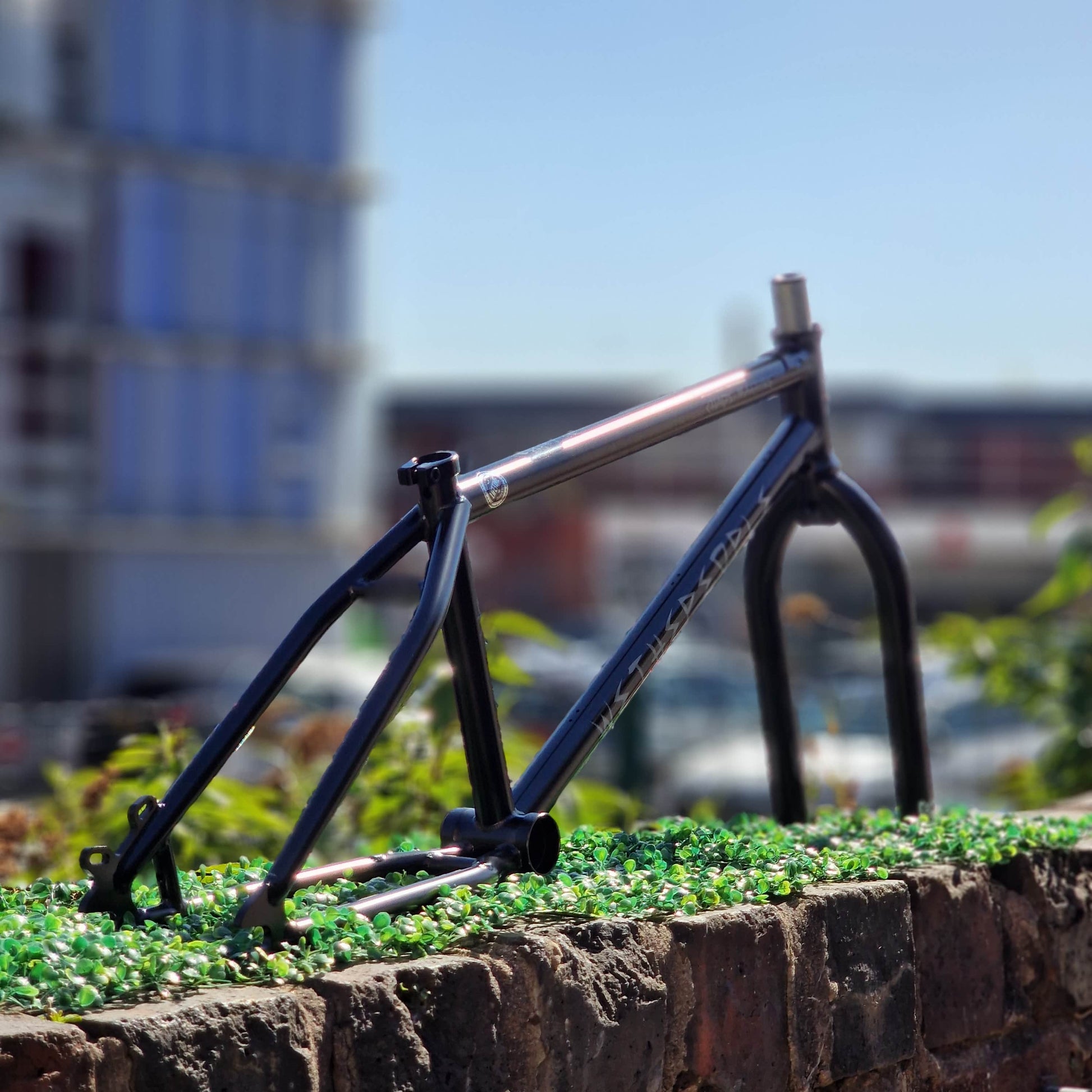 We The People BMX Parts We The People Chaos Machine 22 Inch Frame with S&M Pitchforks