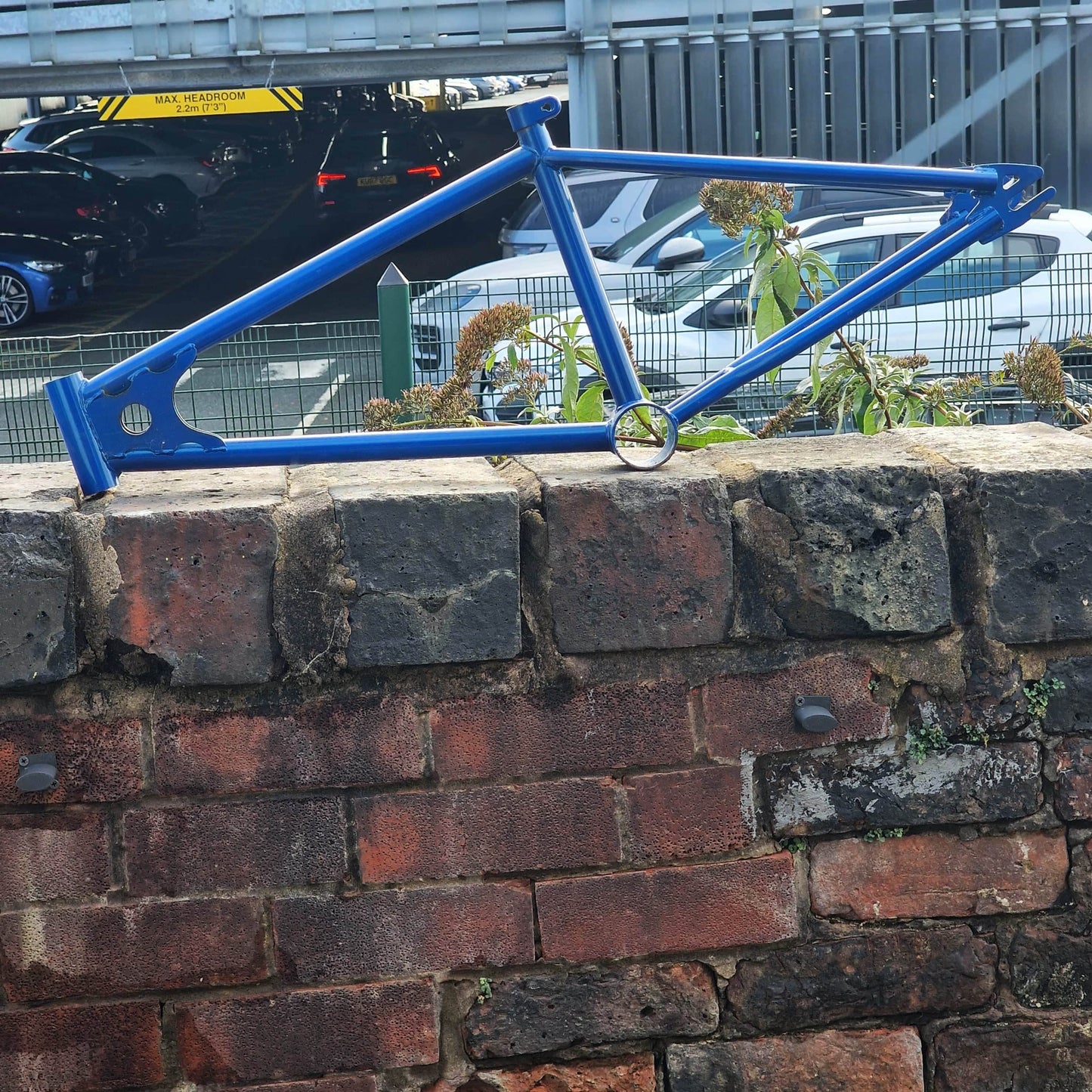 Whitefield Old School BMX Whitefield Expert Frame Survivor Candy Blue