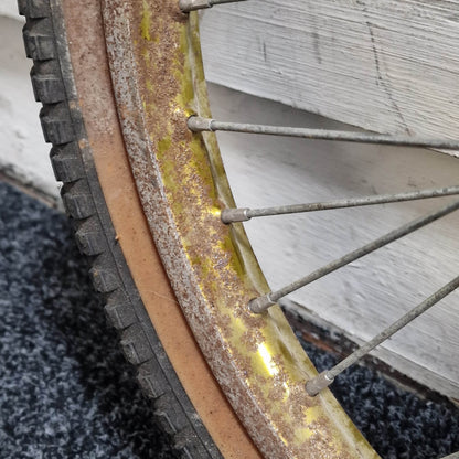 Whitefield Old School BMX Whitefield Survivor Old School Survivor Rear Wheel Steel Rim 36H Gold/Chrome