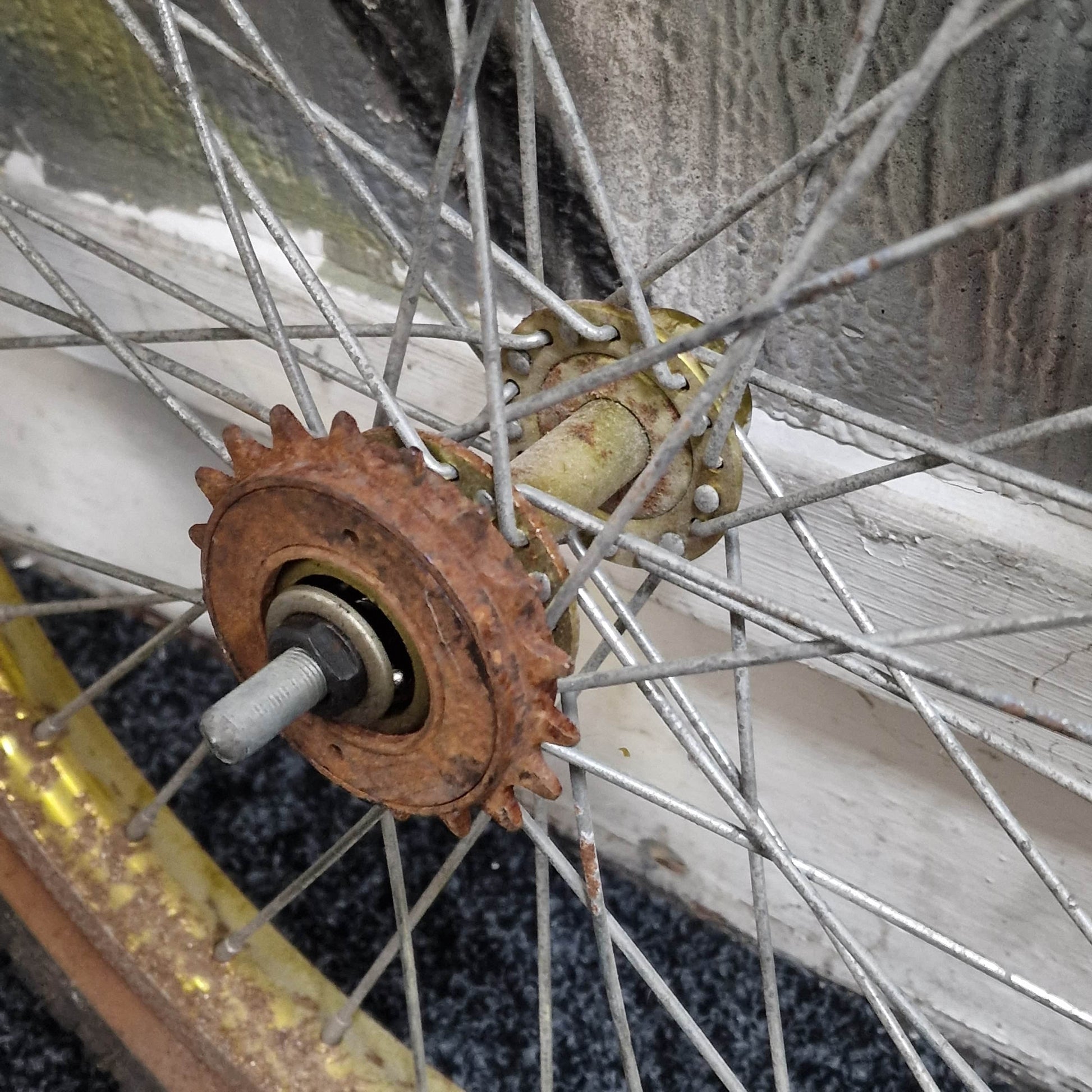 Whitefield Old School BMX Whitefield Survivor Old School Survivor Rear Wheel Steel Rim 36H Gold/Chrome