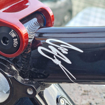 Zink Bike Bikes Zink Bike Vacay Frame LTD Troy Lee Special Edition