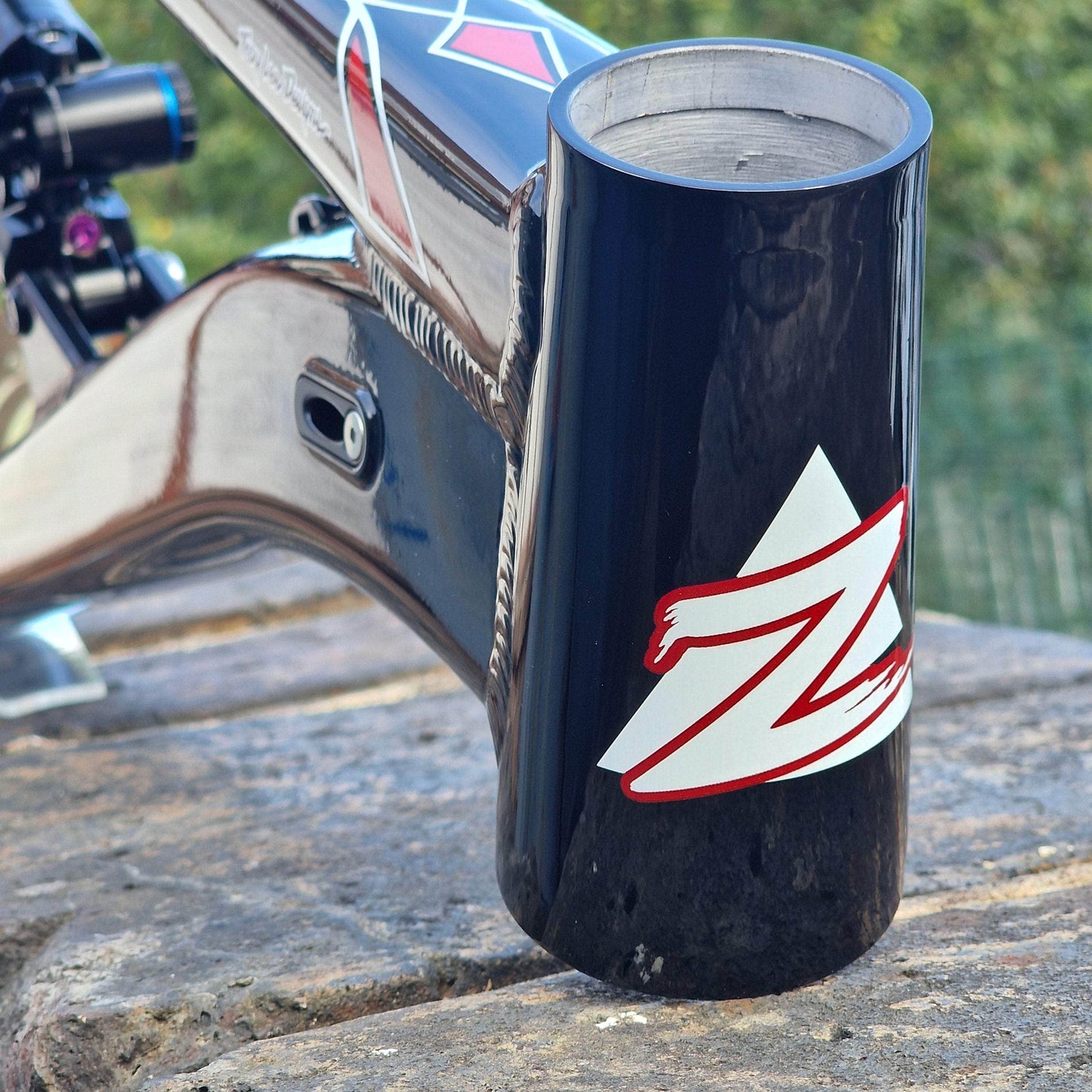 Zink Bike Bikes Zink Bike Vacay Frame LTD Troy Lee Special Edition