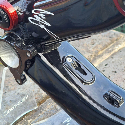 Zink Bike Bikes Zink Bike Vacay Frame LTD Troy Lee Special Edition