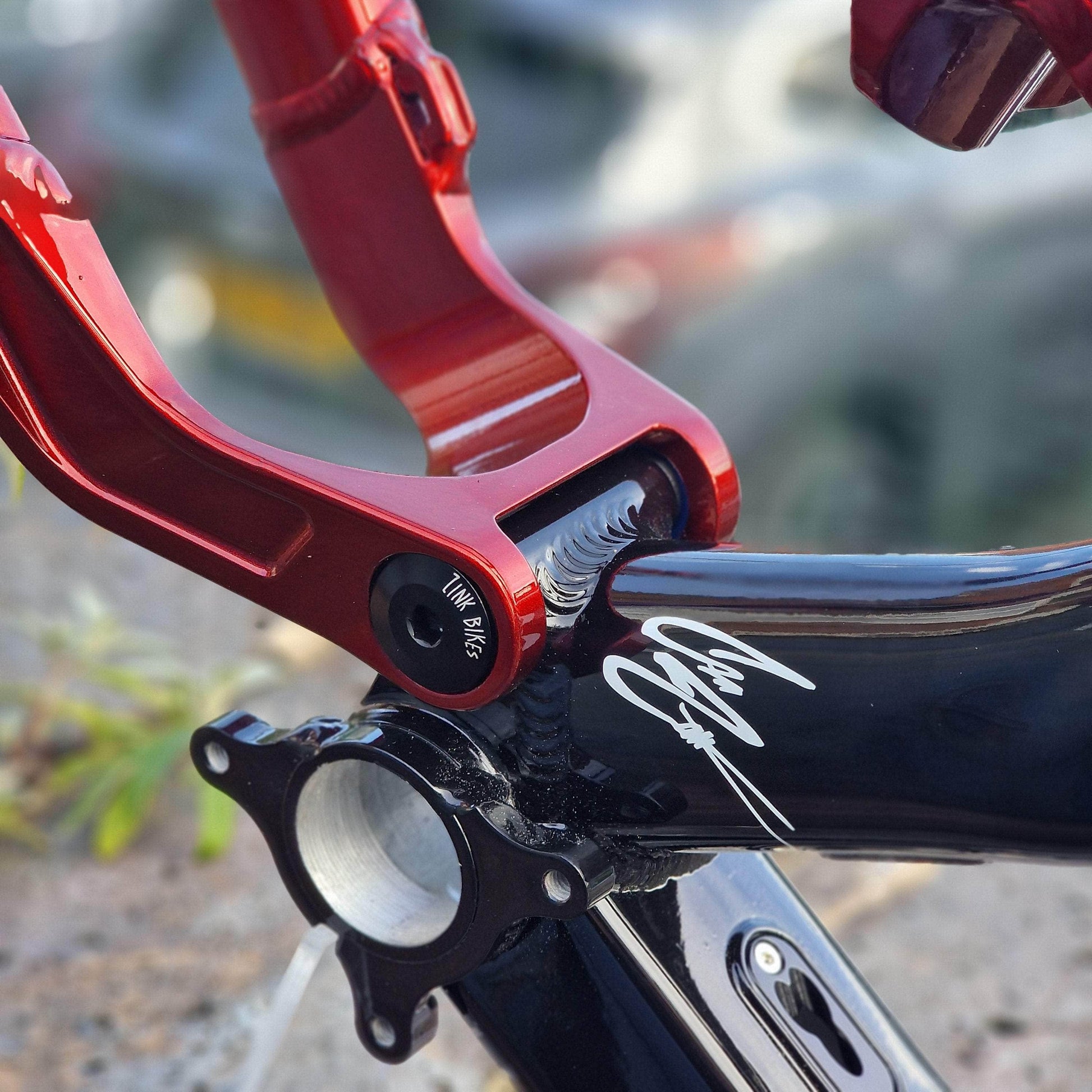 Zink Bike Bikes Zink Bike Vacay Frame LTD Troy Lee Special Edition