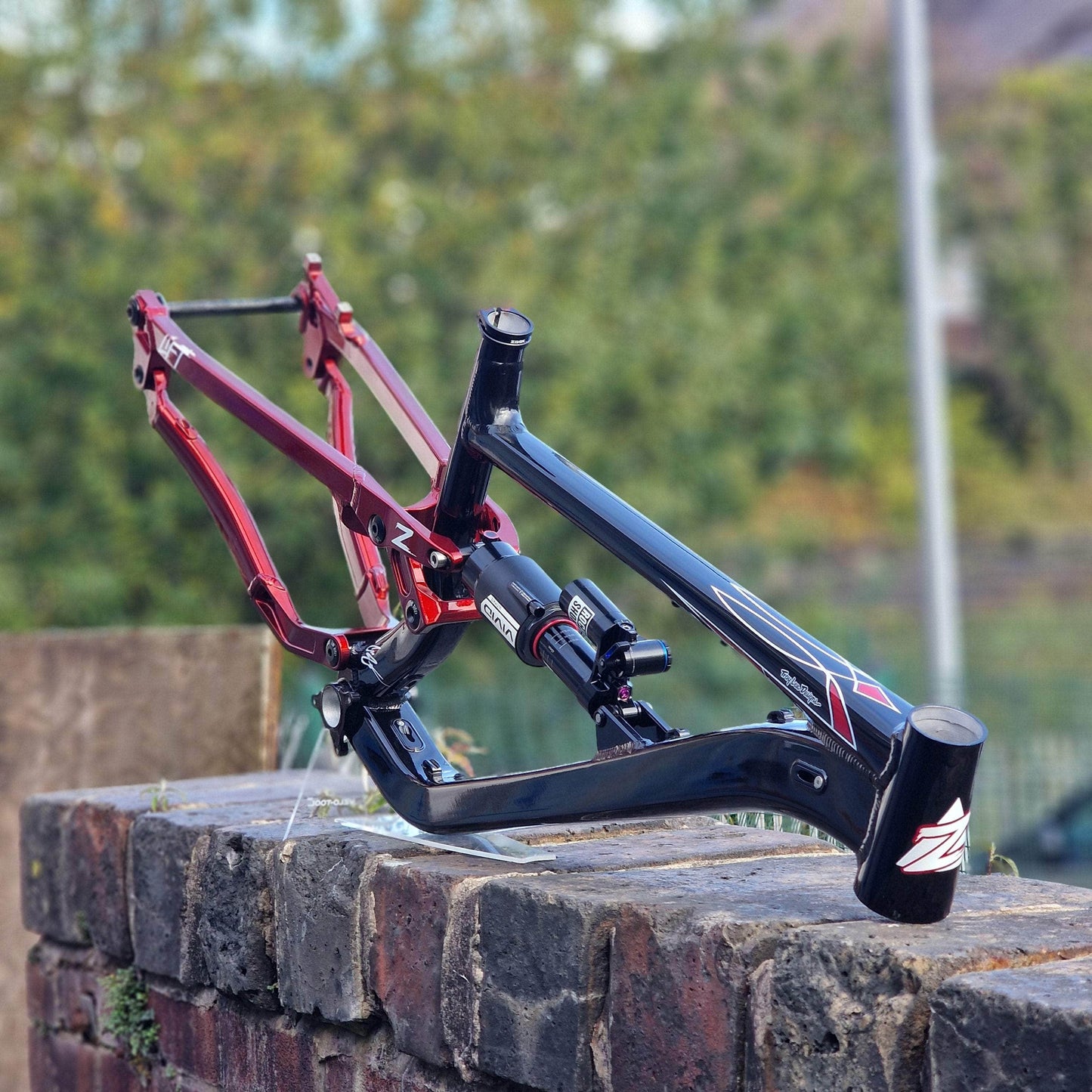 Zink Bike Bikes Zink Bike Vacay Frame LTD Troy Lee Special Edition