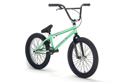 Academy BMX Bikes Academy 2021 Trooper 20 Inch Bike Mint/Polished