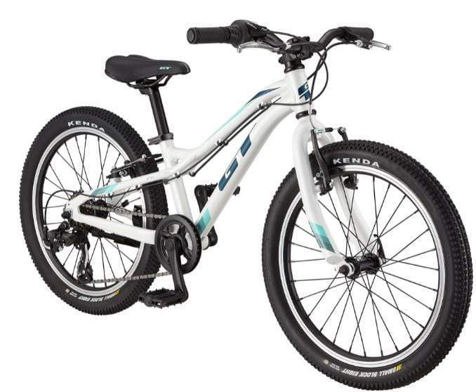 GT Bikes White GT 2021 Stomper Ace 20 Inch Kids Mountain Bike White