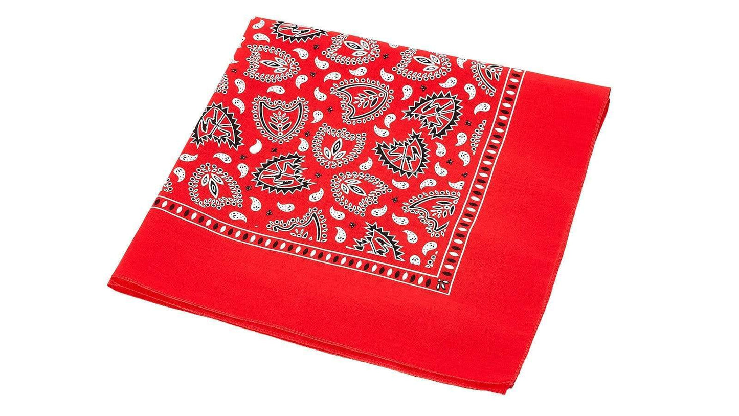 S&M Bikes Clothing & Shoes Red S&M Bikes Bandana