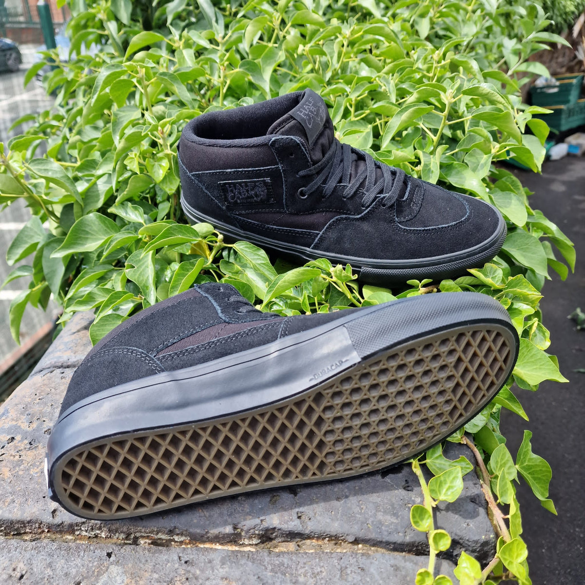 Vans Clothing & Shoes Vans Skate Half Cab Shoes Black / Black